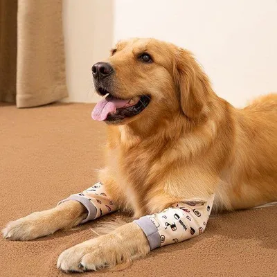 Produktbild von Hundevordergelenkstütze – Ellenbogen- und Kniegelenkschutz für mittelgroße und große Hunde, Verletzungs- und Wundschutz (2XL)