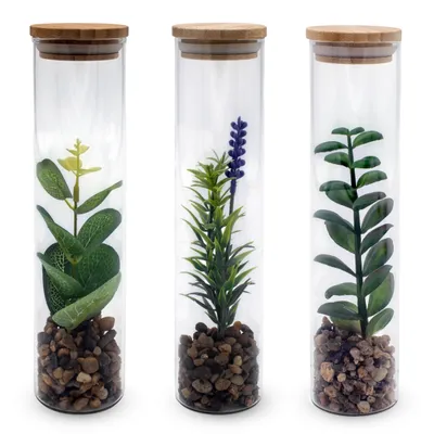 Immagine prodotto di Pianta artificiale in vetro - set di 3 - vaso decorativo da 20 cm con coperchio in legno