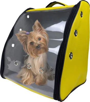 Produktbild von EVE Textile Hunderucksack Katzenrucksack Haustierrucksack 42x35x27 cm Gelb Hundetasche Rucksack Atmungsaktiv zugelassen von Fluggesellschaften