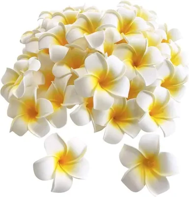 Productafbeelding van Hawaiian Frangipani Pluche Hoed Krans voor Meisjes - 100 Stuks DIY Bruiloft Decoratie