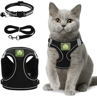 Produktbild von Katzengeschirr mit Leine Ausbruchsicher Verstellbar Reflektierend Größe S