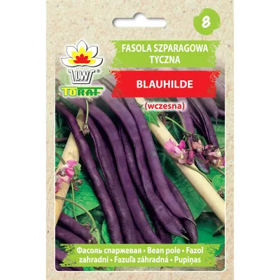 Image de Haricot violet BLAUHILDE 10g Toraf