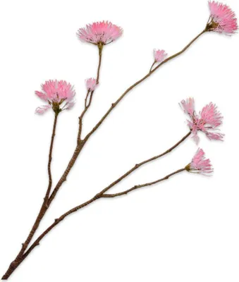 Produktbild von Silk-ka Kunstblume - Seidenblume Blütenzweig rosa 69 cm