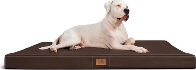 Produktbild von tierlando® OSCAR VISCO Orthopädische Hundematte Matratze Kunstleder Hundebett - Größe: 120x90cm | Farbe: 01 Braun
