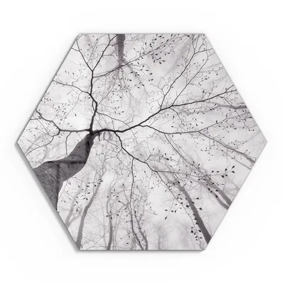 Produktbild von DEQORI Glasbild Echtglas 40x35 cm 'Stille Resilienz' Wandbild Bild modern Deko