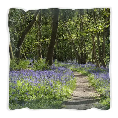 Produktbild von Wallario Premium Kissen, weiche Oberfläche, mit Motiv Wiese voller blauer Hasenglöckchen im Wald, Größe: 30 x 30 cm, mit weißer Rückseite