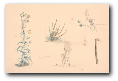 Produktbild von Kunstdruck „Pflanzenstudien. Ein Badesteg und ein Schiff“ von Christen Dalsgaard – 60 x 90 cm – ungerahmt