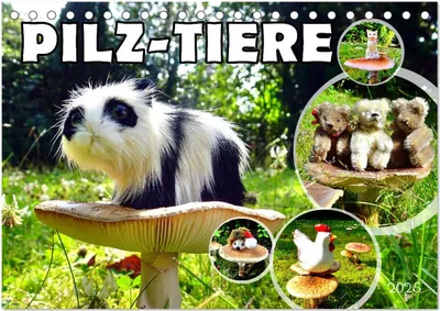 Produktbild von Pilz-Tiere (Tischkalender 2025 DIN A5 quer), CALVENDO Monatskalender