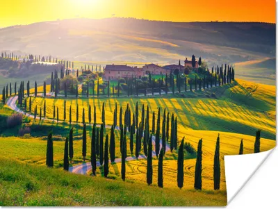 Produktbild von MuchoWow® Poster Gras - Sonne - Hügel - Landschaft 120x90 cm - Wandbild