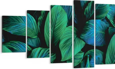 Produktbild von Bild auf Leinwand - Leinwandbild - 5 Teile - Blätter Pflanzen Exotik - 100x60cm - Wand Bild - Wanddeko - Wandbilder - Leinwanddruck - Bilder - Wanddekoration - Leinwand bilder - EG100x60-5066