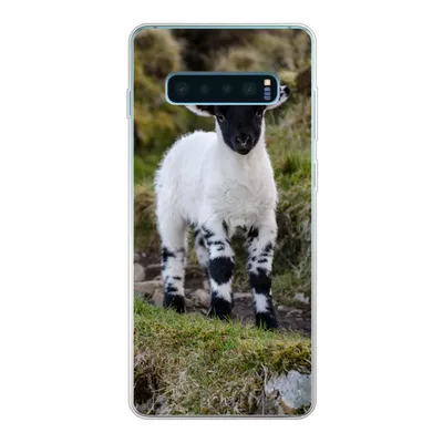 Produktbild von MuchoWow® Handyhülle Schutzhülle Hülle für Samsung Galaxy S10 Lite Lamm - Schwarz - Weiß - Tupfen Silikon Softcase Handy Hülle - Schutz