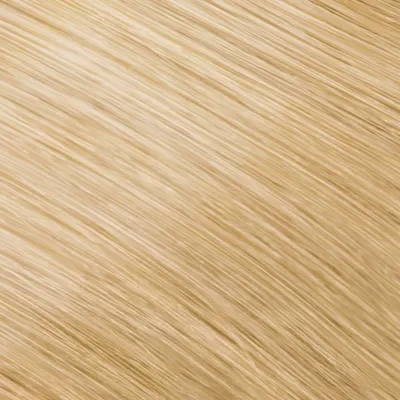 Zdjęcie produktu dla Goldwell Topchic farba do włosów 10N, ekstra jasny blond, 60 ml, 1 opakowanie (1x 0,06 l)