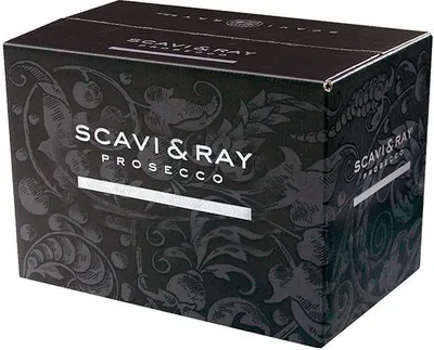 Obrázek produktu pro Scavi & Ray Prosecco Piccolo s příchutí citrusových plodů a jablek 200ml