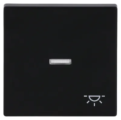 Produktbild von BJ Wippe f. Kontrollschalter 1789 LI-885 Symbol Licht