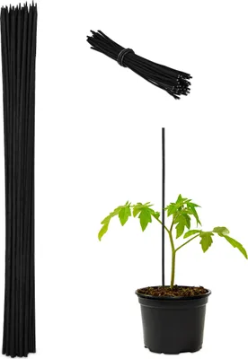 Produktbild von Relaxdays Pflanzenstab, 50er Set, 60 cm, Bambus, Eisen, Rankhilfe für Tomaten uvm., zur Stabilisierung, Ø 6mm, schwarz