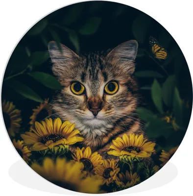 Produktbild von MuchoWow® Rundes Wandbild - Runde Bilder Katze - Gelb - Blumen - Botanisch Ø 90 cm Kreis Wanddekoration Kunststoff - Wandkreis - Wandschmuck - Wand-Kreis - Wohnzimmer - Bild - Runde - Wanddeko - Dibond - Kunstdrucke