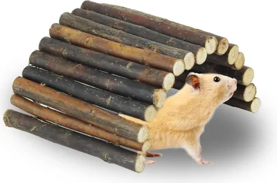 Produktbild von Natur Weidenbrücke Nagerbrücke für Kleintiere, Flexible Holzbrücke Spielzeug und Käfigzubehör, 17x28 cm – Ideale Kletterbrücke für Hamster, Kaninchen