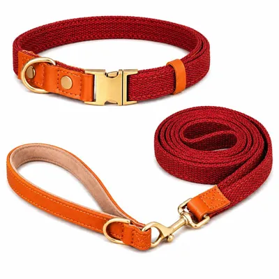 Produktbild von Hundeleine & Halsband Set aus Nylon mit Leder – robust, hochwertig, 1,5 m Leine – für kleine & große Hunde 7 Farben verfügbar rot Größe M