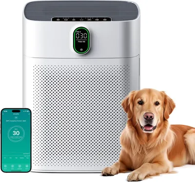 Produktbild von Luftreiniger für Allergiker mit HEPA Filter, Air Purifier für Rauch, Staub & Pollen, CADR 300 m³/h, 100 m², 24 dB, Timer, App & Sprachsteuerung