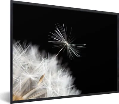 Produktbild von MuchoWow® Gerahmtes Poster Blume - Löwenzahn - Pflanze 80x60 cm - Poster mit Schwarzem Bilderrahmen Wandposter Rahmen Foto Bilder - Schwarzem - Mit Gestell