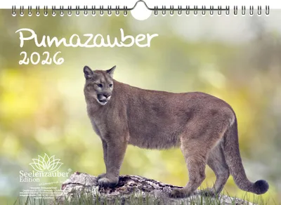 Produktbild von Pumazauber DIN A4 Kalender für 2026 Puma - Seelenzauber