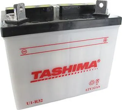 Image de Batterie Plomb Tashima Pour Tondeuse Autoportée 12v, 32a. L: 196, L: 131, H:184mm, + à Droite. (livrée Sans Acide). - Batterie à