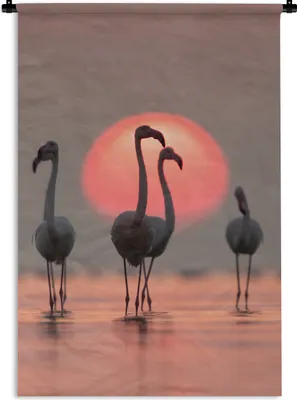 Produktbild von MuchoWow® Wandteppich Wandbehang Vogel - Flamingo - Sonnenuntergang - Rosa 60x90 cm Tapisserie Dekoration Wandtuch - Foto-Teppich - Abwaschbar
