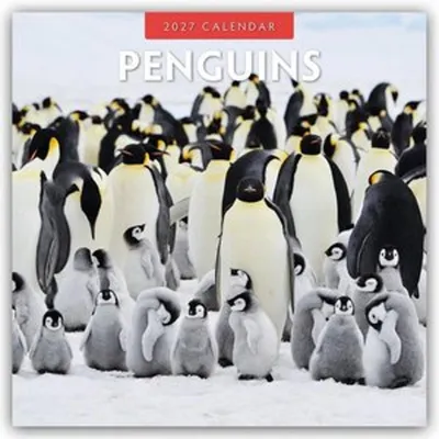 Immagine prodotto di Pinguini - Calendario da parete per 16 mesi, dal 2027