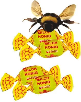 Produktbild von Edel Milch Honig Bonbons mit Honig gefüllt und gewickelt 100g