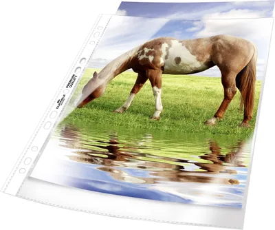 Produktbild von Prospekthülle A4 PP 80 my glasklar VE=20x50 Stück