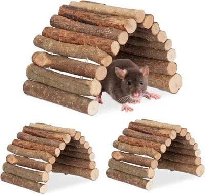Produktbild von Biegentunnel Holz für Hamster und Mäuse