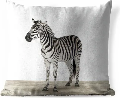 Produktbild von MuchoWow® Outdoor Kissen - Zebra - Mädchen - Tiere - Kinder - Jungen - 50x50 cm - Wetterfest - Lounge Kissen - Komfortabel - Kissen mit Bild