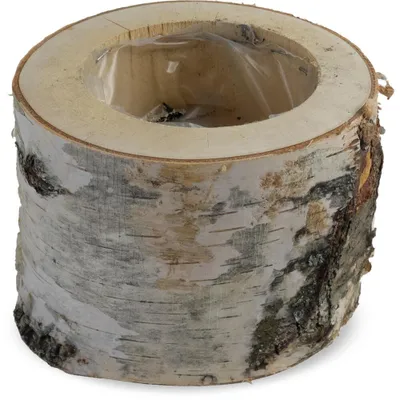 Immagine prodotto di Vaso per piante tronco di betulla con bicchiere di plastica 1 pz Ø 16-19x16 cm