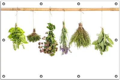 Produktbild von Wallario Outdoor-Poster für Garten oder Balkon, Motiv Verschiedene Kräuter an der Leine, in ca. 80 x 120 cm
