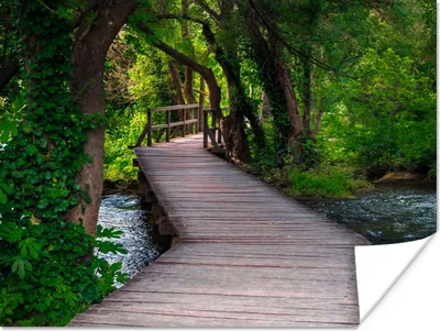 Produktbild von MuchoWow® Poster Wald - Natur - Brücke 120x90 cm - Wandbild