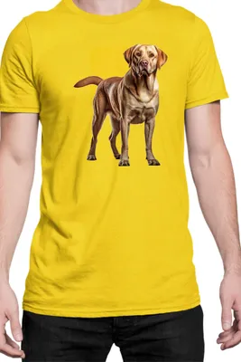 Zdjęcie produktu dla Męska Koszulka Dogs Breeds Labrador Retriever Dog Breed 005, Man L / Żółty