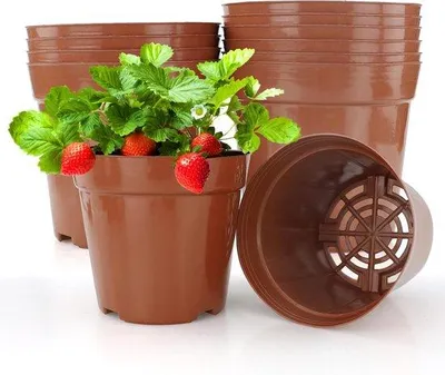 Zdjęcie produktu dla Kweekpotten Ø 12 cm - Zestaw 10 okrągłych doniczek na rośliny, sadzonki i sadzonki
