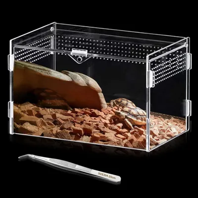 Produktbild von Acrylterrarium für Schnecken und Reptilien - 20 x 12 x 12 cm - Mini transparentes Terrarium inklusive Futterbox - Insektenterrarium - Terrariumcontainer für verschiedene Reptilien