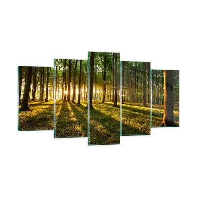 Produktbild von Bilder auf glas - Wald grün Sonnenstrahlen Natur - 160x85cm - Glasbilder - Wandbilder - Kunstdruck - zum Aufhängen bereit - Wanddekoration aus Glas - Glas Bilder - Wandbild auf Glas - GEA160x85-2510