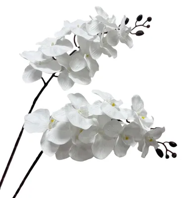 Kunstorchidee 8 Köpfe, 101,6 cm, 2 Stiele, Phalaenopsis, Weiß