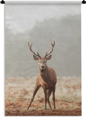 Produktbild von MuchoWow® Wandteppich Wandbehang Hirsche - Wald - Nebel 120x180 cm Tapisserie Dekoration Wandtuch - Schlafzimmer - Dekorationen für das Haus