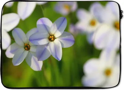 Produktbild von MuchoWow® Laptop Hülle 13 Zoll Blumen - Garten - Lila Laptoptasche - Laptophülle - Sleeve - Rundumschutz