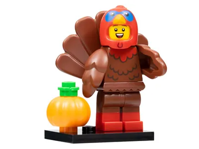 Zdjęcie produktu dla LEGO Seria 23: Kostium indyka