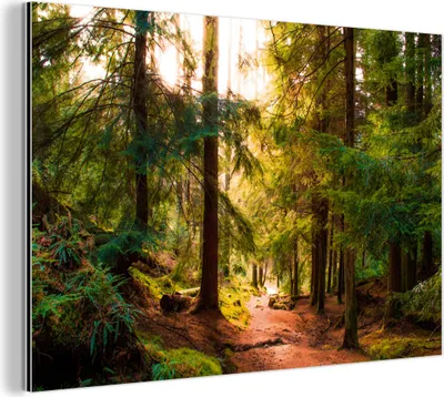 Produktbild von MuchoWow Wanddekoration Metall Metallbild Wandkunst 90x60 cm Wald - Weg - Bäume - Grün - Sonne - Natur MuchoWow Aluminium Gemälde - Wandbilder