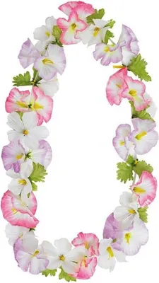 Produktbild von Hawaii Kette Hula Halskette bunt lang Blume Strand Hulakette