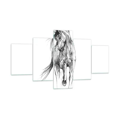 Produktbild von Bilder auf glas - 5 Teile - Pferd Galopp Tier - 125x70cm - Glasbilder - Wandbilder - Bilder - zum Aufhängen bereit - Wanddekoration aus Glas - Glas Bilder - Wandbild auf Glas - GEA125x70-5080