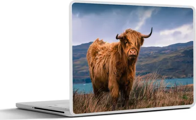 Produktbild von MuchoWow® Laptop Aufkleber Sticker Cover Schottische Hochlandrind - Himmel - Natur 40x30 cm - Laptop Dekoration - Selbstklebend