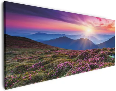 Produktbild von Wallario Premium Leinwandbild Blumenbedeckte Wiese bei Sonnenuntergang in Größe 60 x 150 cm