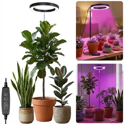A collage of images showing a grow light with plants in different settings.