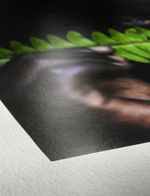 Produktbild von Hahnemühle I Leinenalbum Papier Set I Photo Rag® Pearl